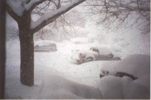 A lovely Christmas white-out!