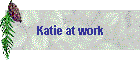 Katie at work